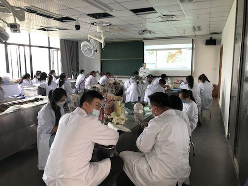 QQ图片20200605103445