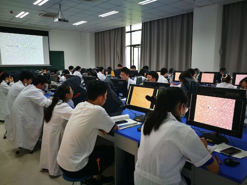 QQ图片20200604141040