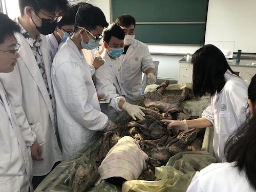 QQ图片20200605103438